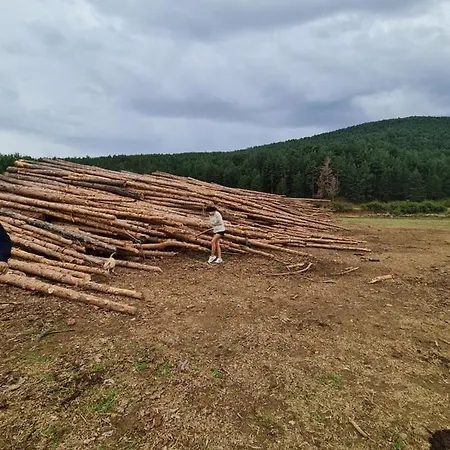 Dom wakacyjny La Casa Del Bosque *