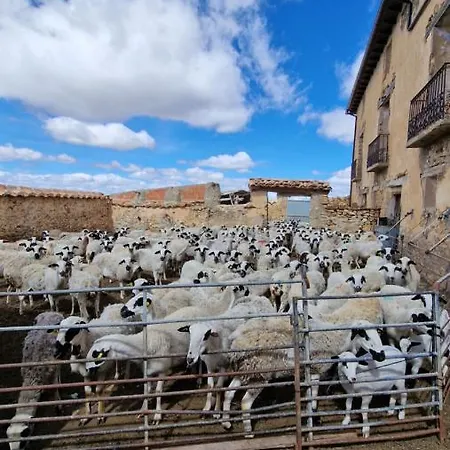 La Casa Del Bosque *