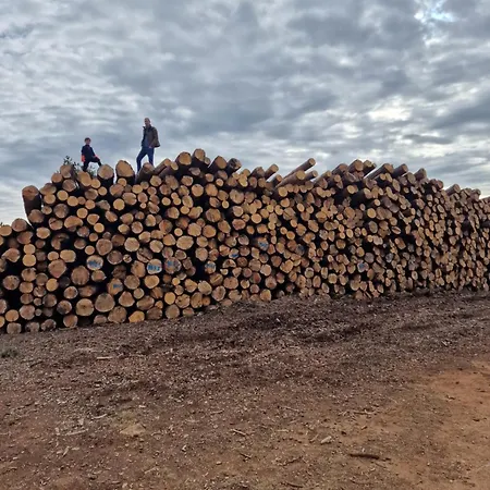 Prázdninový dům La Casa Del Bosque Alcalá de la Selva