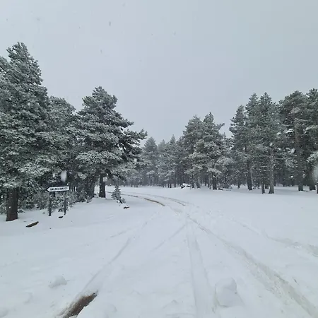 Dom wakacyjny La Casa Del Bosque *