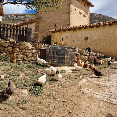La Casa Del Bosque Alcalá de la Selva