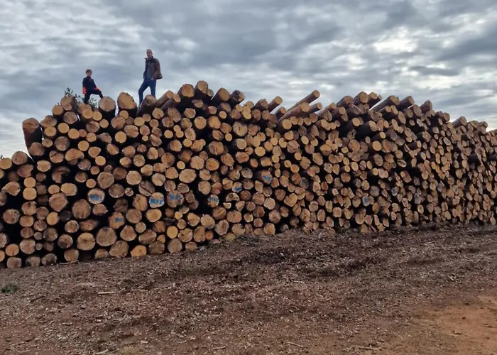 Holiday home La Casa Del Bosque Alcala De La Selva